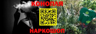 Альфа ПВП Ярославль